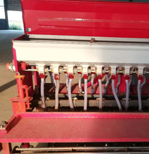 �����Rȫ